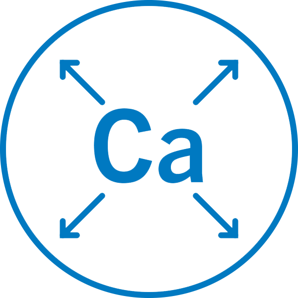 Calcium Release