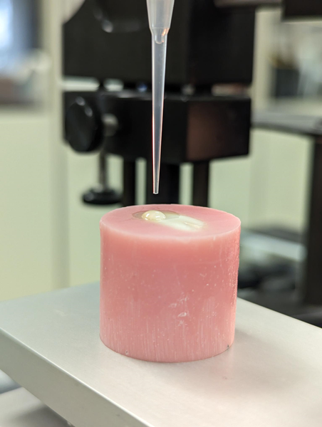 Dental tooth mould casting